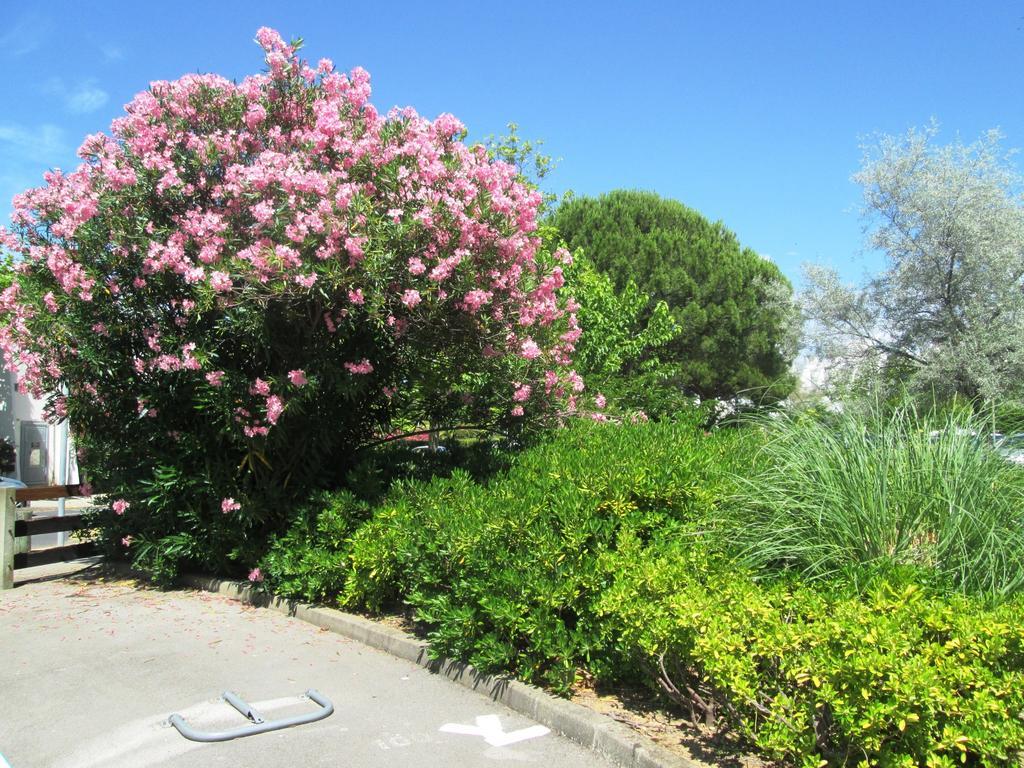 Vittoria Immobilier 12 -Reglement Sur Place - Cheques Vacances Acceptes ラ・グランド・モット エクステリア 写真