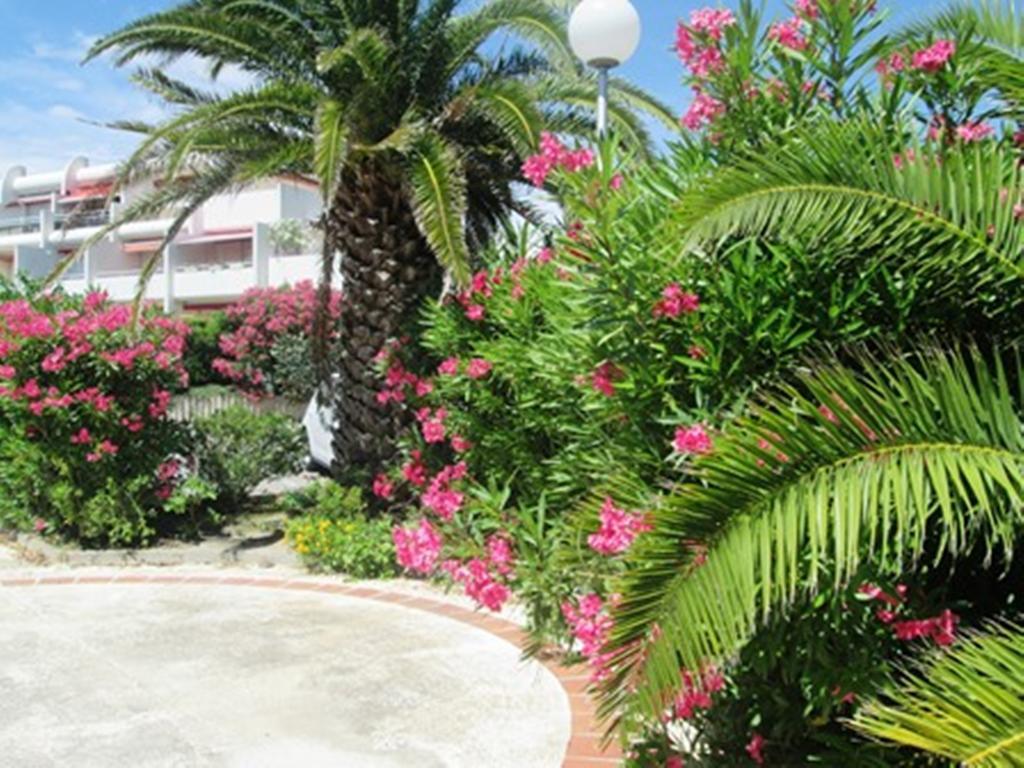 Vittoria Immobilier 12 -Reglement Sur Place - Cheques Vacances Acceptes ラ・グランド・モット エクステリア 写真