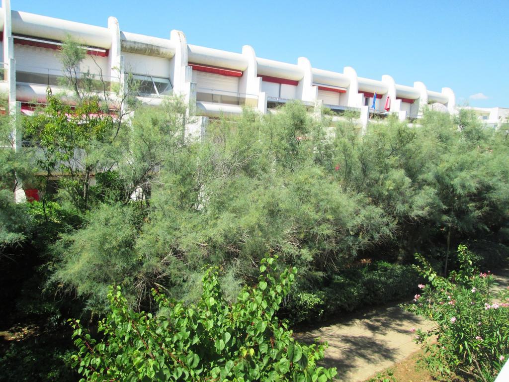 Vittoria Immobilier 12 -Reglement Sur Place - Cheques Vacances Acceptes ラ・グランド・モット エクステリア 写真